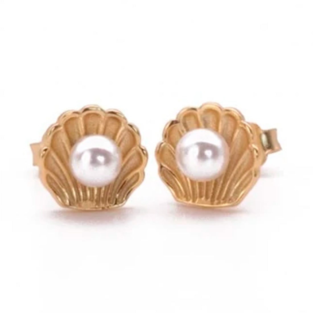 SEA SHELL STUDS